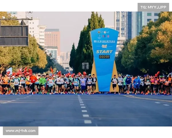 杭州十一月举办81项体育赛事,马拉松、业余棋王争霸赛等接连上演